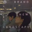 Brand New Landscape