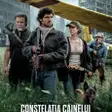 Constelația Câinelui