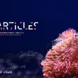 Particles Festival